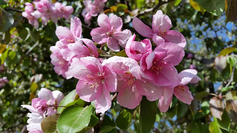 Crocker Park - Lakeland, MN