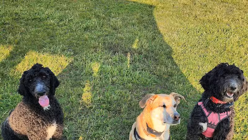 Bark Until Dark Dog Park - Lakeside Marblehead,