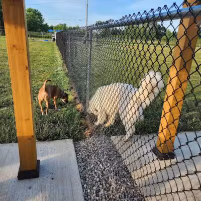 Bark Until Dark Dog Park - Lakeside Marblehead,