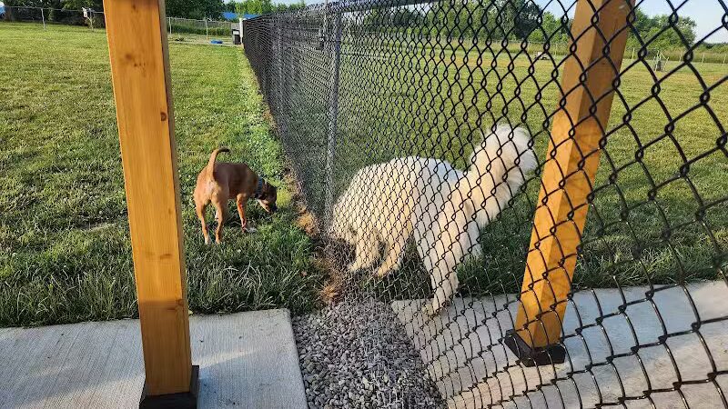 Bark Until Dark Dog Park - Lakeside Marblehead,