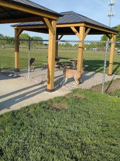 Bark Until Dark Dog Park - Lakeside Marblehead,