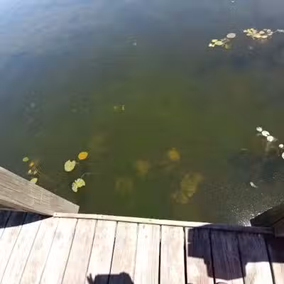 Lakeside Park - Lakeview,