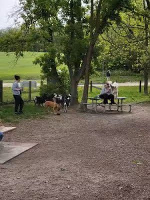 Ritter Farm Dog Park - Lakeville, MN