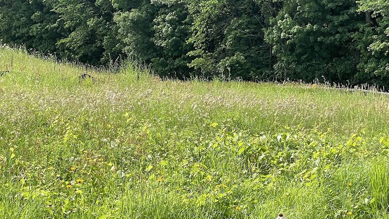 Ritter Farm Dog Park - Lakeville, MN