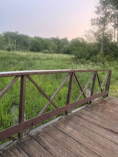 Ritter Farm Dog Park - Lakeville, MN