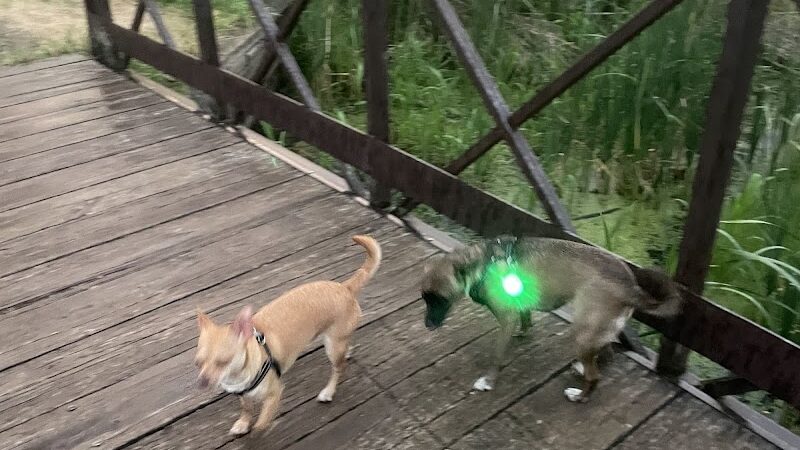 Ritter Farm Dog Park - Lakeville, MN