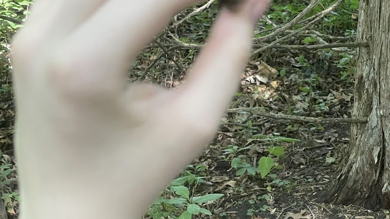 Ritter Farm Dog Park - Lakeville, MN