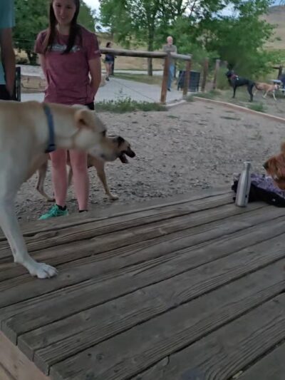 Forsberg Iron Spring Park - Lakewood, CO