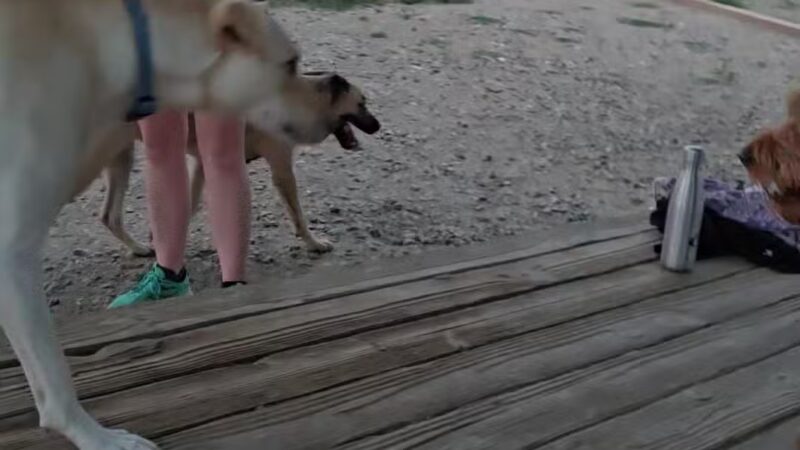 Forsberg Iron Spring Park - Lakewood, CO