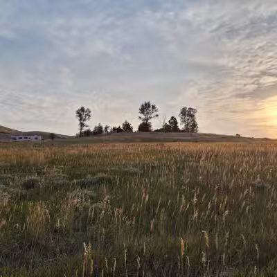 Forsberg Iron Spring Park - Lakewood, CO