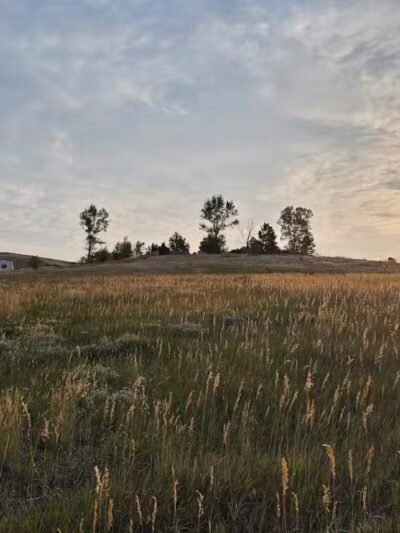 Forsberg Iron Spring Park - Lakewood, CO