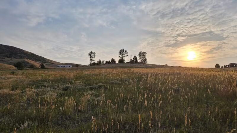 Forsberg Iron Spring Park - Lakewood, CO
