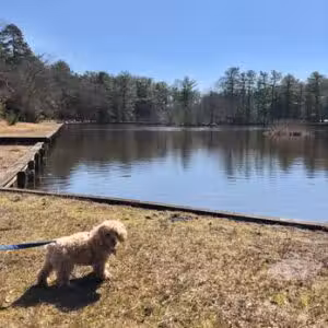 Ocean County Park Off-Leash Dog Run - Lakewood, NJ
