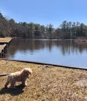Ocean County Park Off-Leash Dog Run - Lakewood, NJ