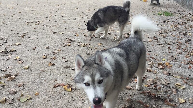 Lakewood Dog Park - Lakewood, OH