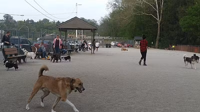Lakewood Dog Park - Lakewood, OH