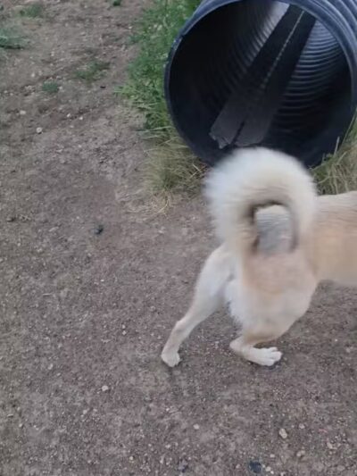 Parks, Forestry and Open Space - Lakewood, CO