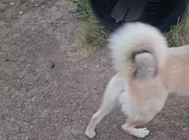 Parks, Forestry and Open Space - Lakewood, CO