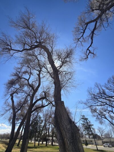 Willow Creek Park - Lamar, CO