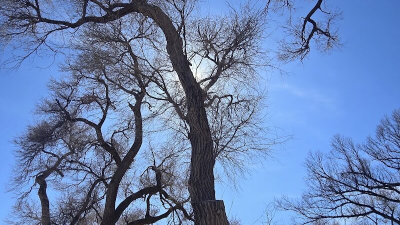 Willow Creek Park - Lamar, CO