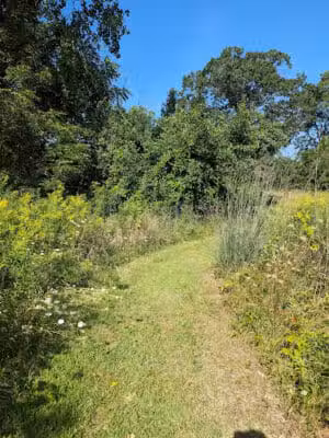 Wheeler Preserve - Lambertville,