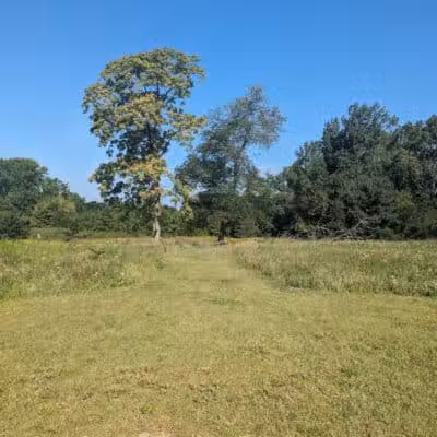 Wheeler Preserve - Lambertville,