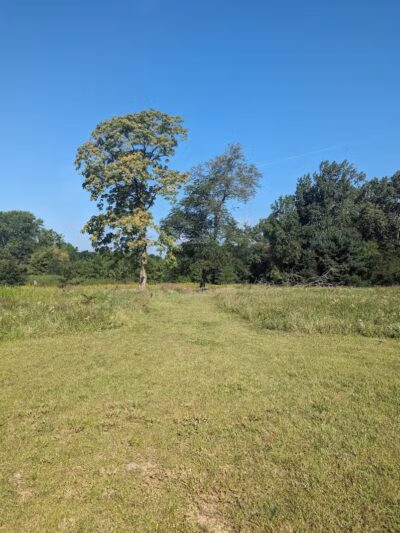 Wheeler Preserve - Lambertville,