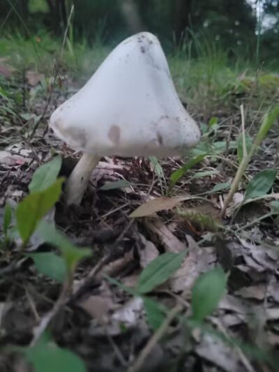 Wheeler Preserve - Lambertville,