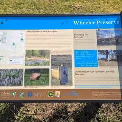 Wheeler Preserve - Lambertville,