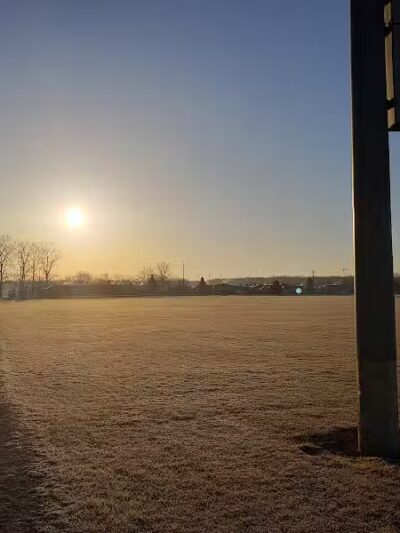 White Park - Lambertville,