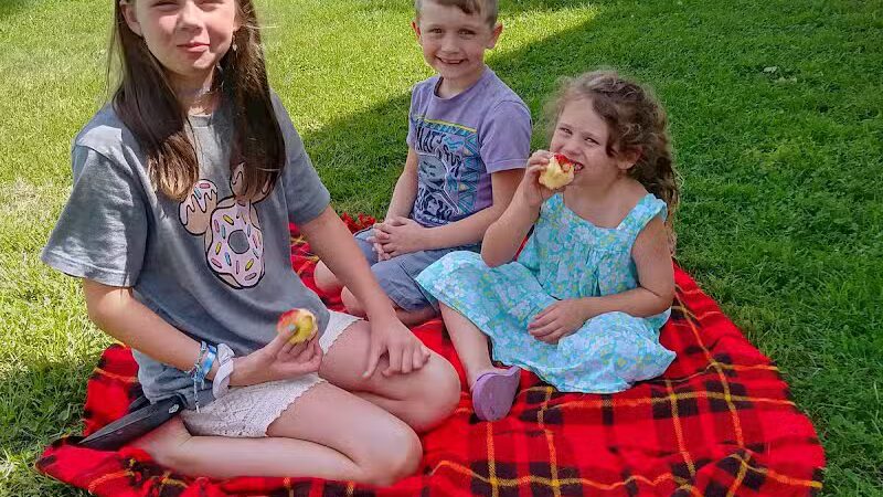 White Park - Lambertville,