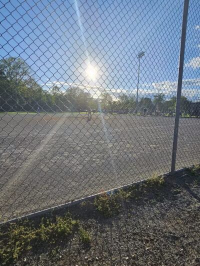 White Park - Lambertville,