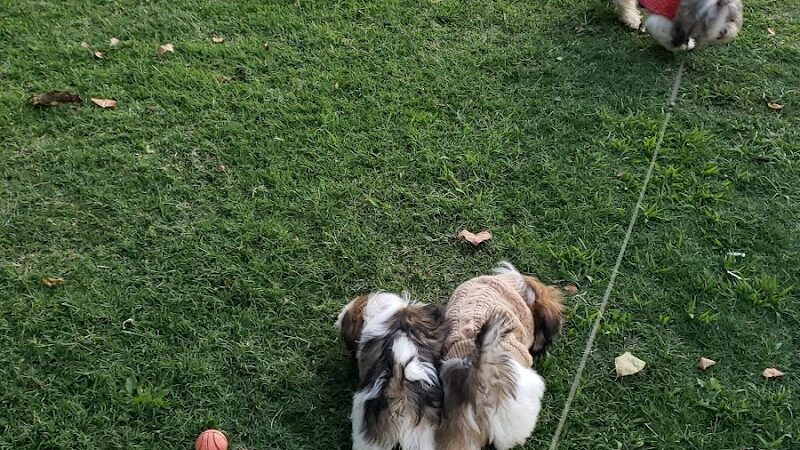 Lamont Park - Lamont, CA