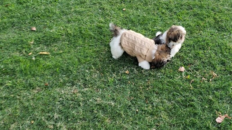 Lamont Park - Lamont, CA