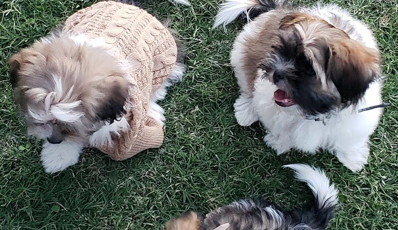 Lamont Park - Lamont, CA