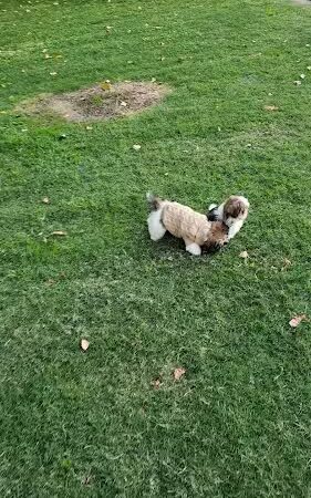 Lamont Park - Lamont, CA