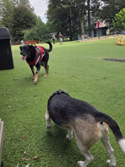 Beau’s Dream Dog Park - Lancaster, PA
