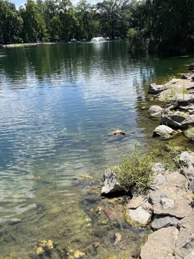 Beau’s Dream Dog Park - Lancaster, PA