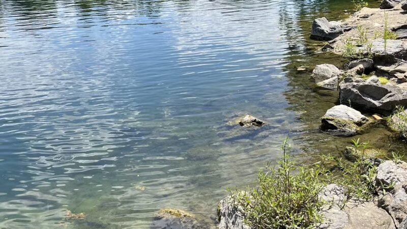 Beau’s Dream Dog Park - Lancaster, PA