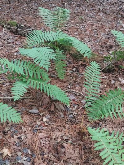 Belle Isle State Park - Lancaster, VA