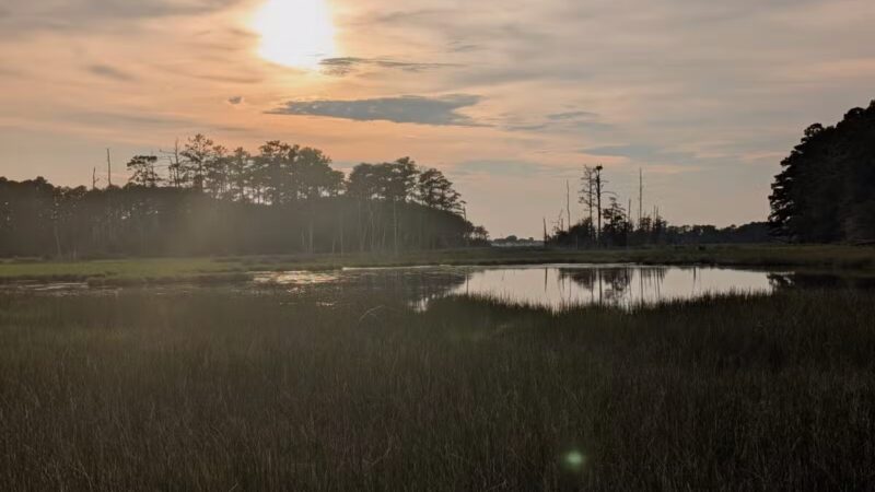 Belle Isle State Park - Lancaster, VA