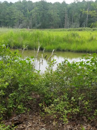 Belle Isle State Park - Lancaster, VA