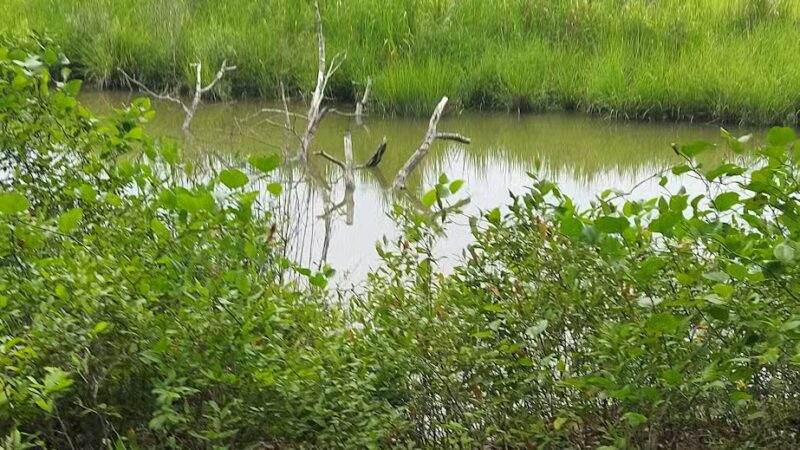 Belle Isle State Park - Lancaster, VA