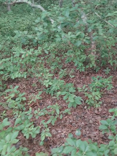 Belle Isle State Park - Lancaster, VA