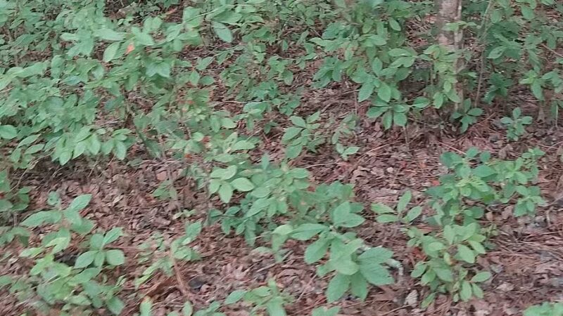 Belle Isle State Park - Lancaster, VA