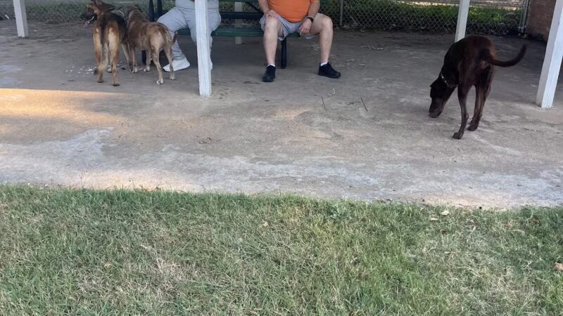 Lancaster Dog Park - Lancaster, TX