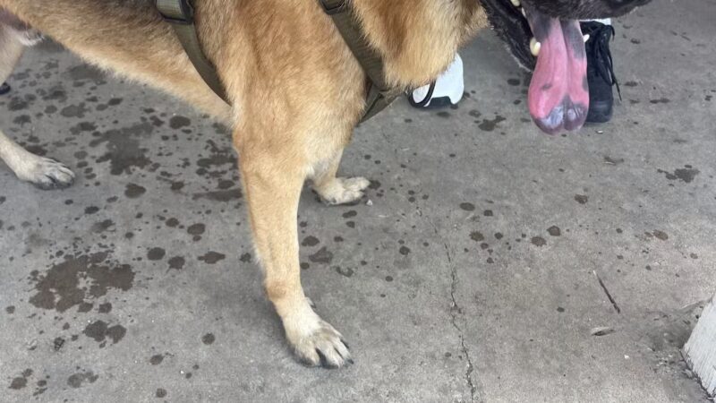 Lancaster Dog Park - Lancaster, TX