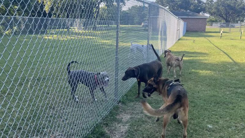 Lancaster Dog Park - Lancaster, TX