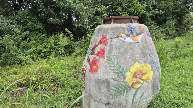 Lindsay Pettus Greenway - Lancaster, SC