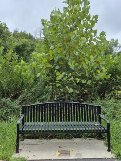 Lindsay Pettus Greenway - Lancaster, SC